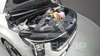 2025 KIA Carnival