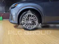 2025 Lexus RX
