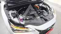 2026 Lexus NX