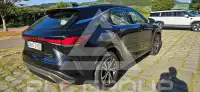 2026 Lexus RX