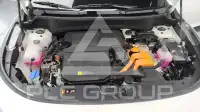 2026 KIA Niro