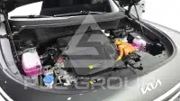 2026 KIA Niro