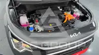 2026 KIA Niro