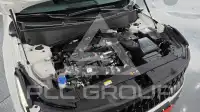 2026 KIA Celltos