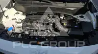 2026 KIA Celltos