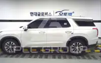 2019 Hyundai Palisade