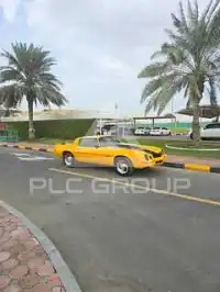 1979 Chevrolet Camaro
