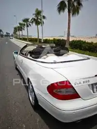 2004 Mercedes Benz CLK