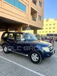 2007 Mitsubishi PAJARO