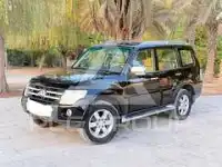 2008 Mitsubishi PAJARO