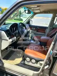 2009 Mitsubishi PAJARO