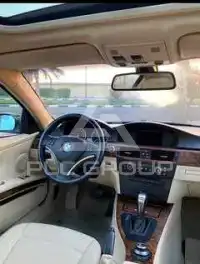 2009 BMW 320