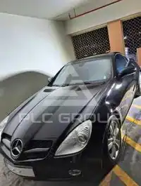 2009 Mercedes Benz SLK-Class