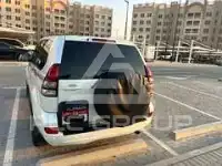 2009 Toyota Prado