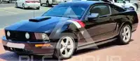 2009 Ford MUSTANG