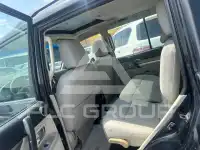 2010 Mitsubishi PAJARO