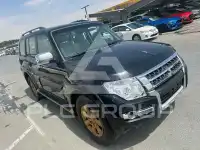 2010 Mitsubishi PAJARO