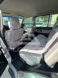 2010 Mitsubishi PAJARO