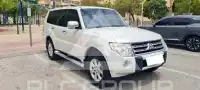 2010 Mitsubishi PAJARO