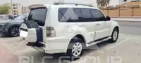 2010 Mitsubishi PAJARO