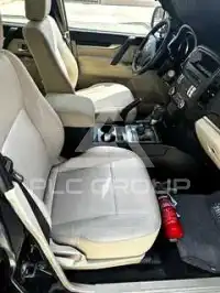 2010 Mitsubishi PAJARO