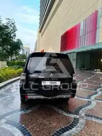 2010 Mitsubishi PAJARO