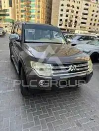 2010 Mitsubishi PAJARO