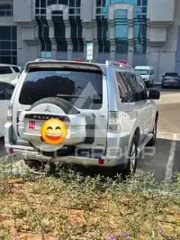2010 Mitsubishi PAJARO
