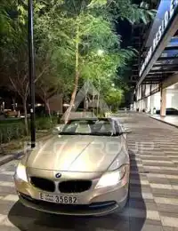 2010 BMW Z4