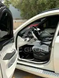 2010 BMW X6