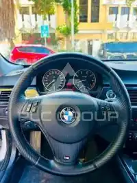 2010 BMW 320