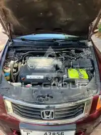 2010 Honda Accord