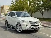 2010 Mercedes Benz M-Class