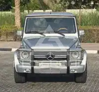 2010 Mercedes Benz G-Class