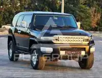 2010 Toyota FJ Cruiser
