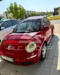 2010 Volkswagen BEETLE