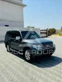 2011 Mitsubishi PAJARO