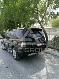 2011 Mitsubishi PAJARO