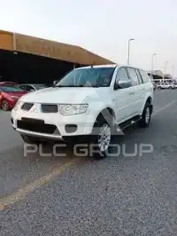 2011 Mitsubishi PAJARO