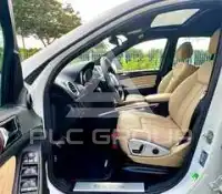 2011 Mercedes Benz M-Class