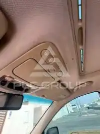 2011 KIA Carnival