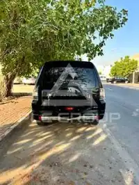 2012 Mitsubishi PAJARO