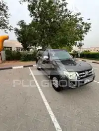 2012 Mitsubishi PAJARO