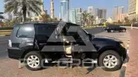 2012 Mitsubishi PAJARO