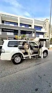 2012 Mitsubishi PAJARO