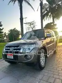 2012 Mitsubishi PAJARO