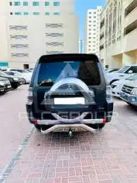 2013 Mitsubishi PAJARO