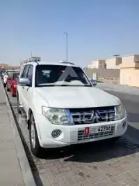 2013 Mitsubishi PAJARO