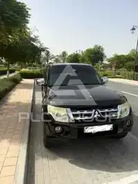 2013 Mitsubishi PAJARO