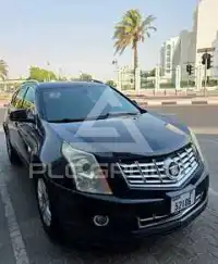 2013 Cadillac SRX